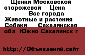 Щенки Московской сторожевой  › Цена ­ 25 000 - Все города Животные и растения » Собаки   . Сахалинская обл.,Южно-Сахалинск г.